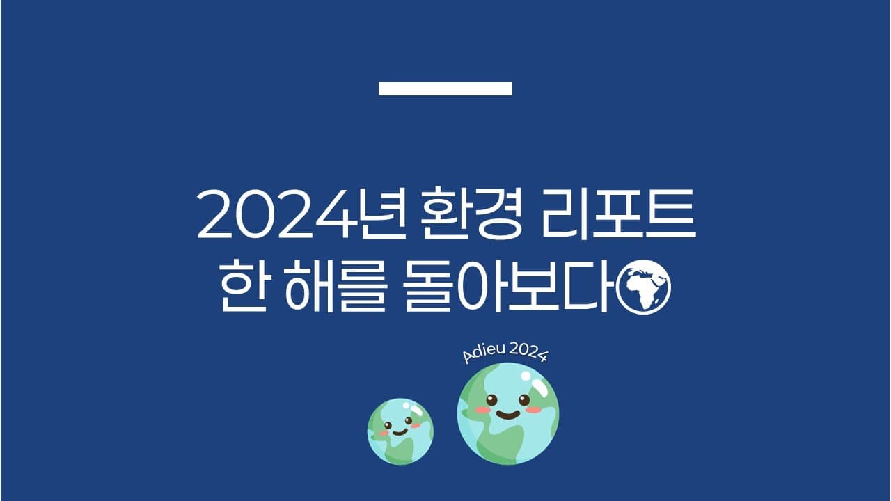 2024년 환경 리포트: 한 해를 돌아보다🌍