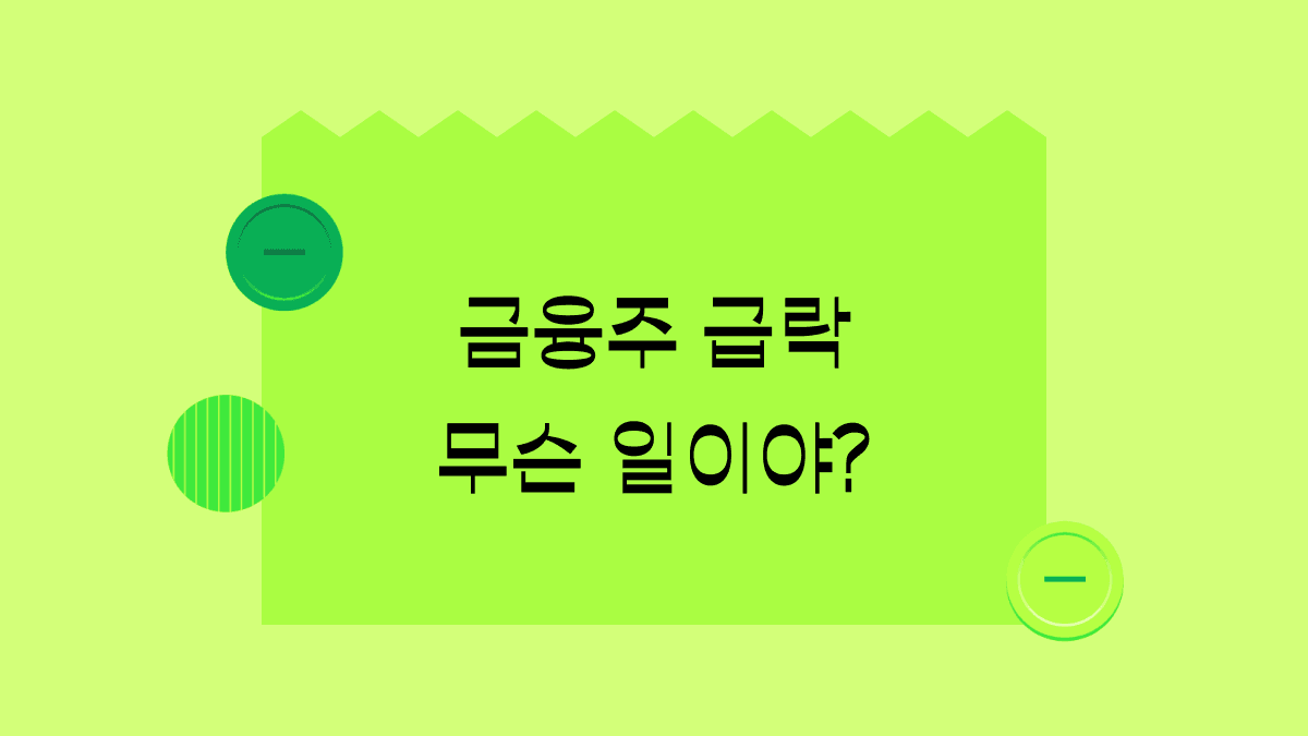 밸류업으로 잘나가던 금융주, 왜 갑자기 폭락한 걸까?