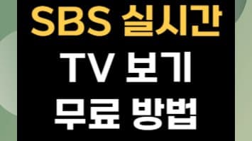 SBS 드라마/예능 생중계, 지금 바로 시청하기!