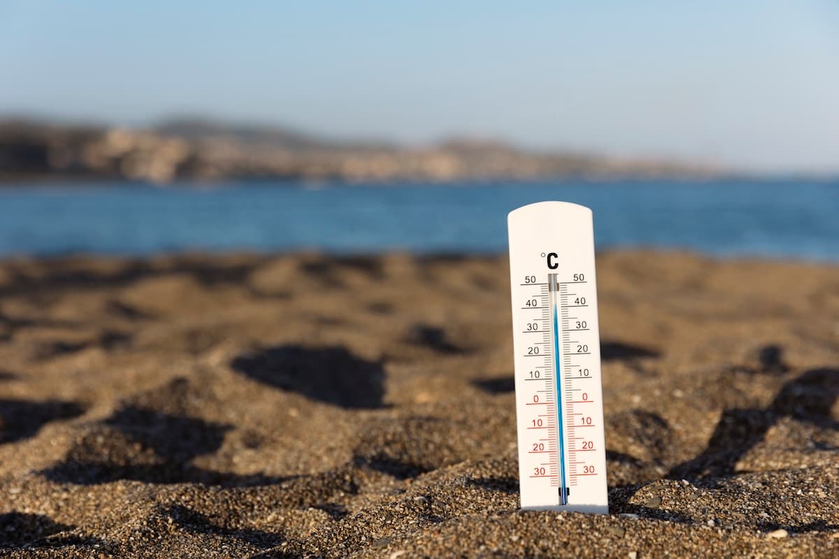 계속되는 무더위, 사라진 처서 매직 🥵🌡️