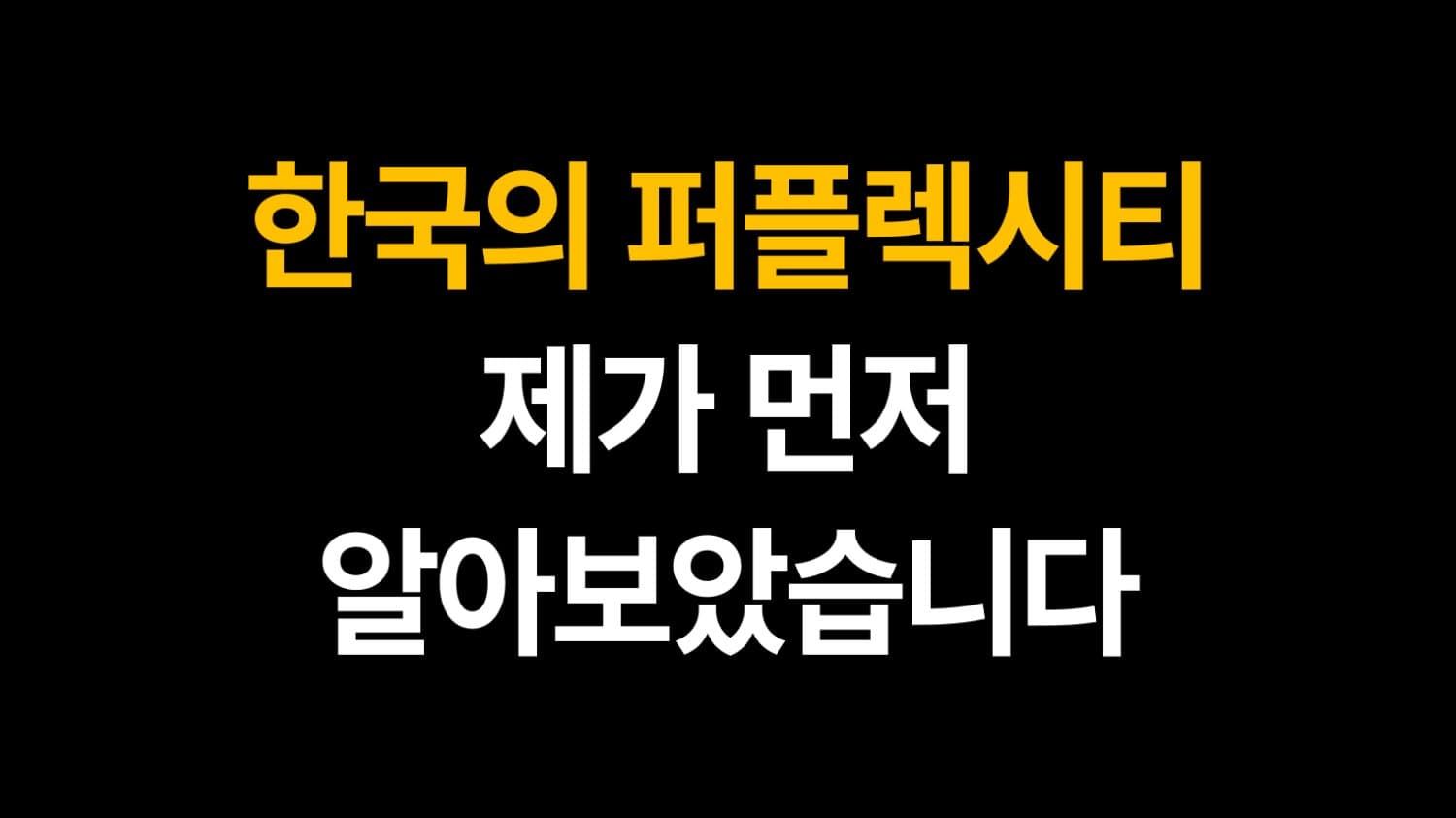 한국의 퍼플렉시티, 제가 먼저 알아보았습니다