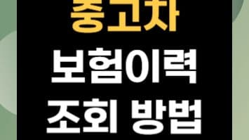 보험이력으로 알아보는 중고차의 모든 것