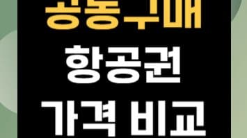 공동구매 항공권 완벽 가이드