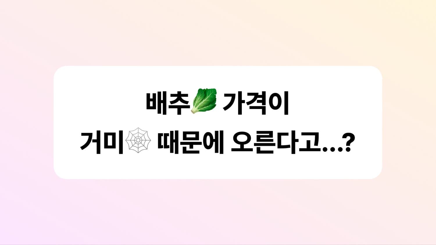 배추🥬 가격이 거미🕸️ 때문에 오른다고...?