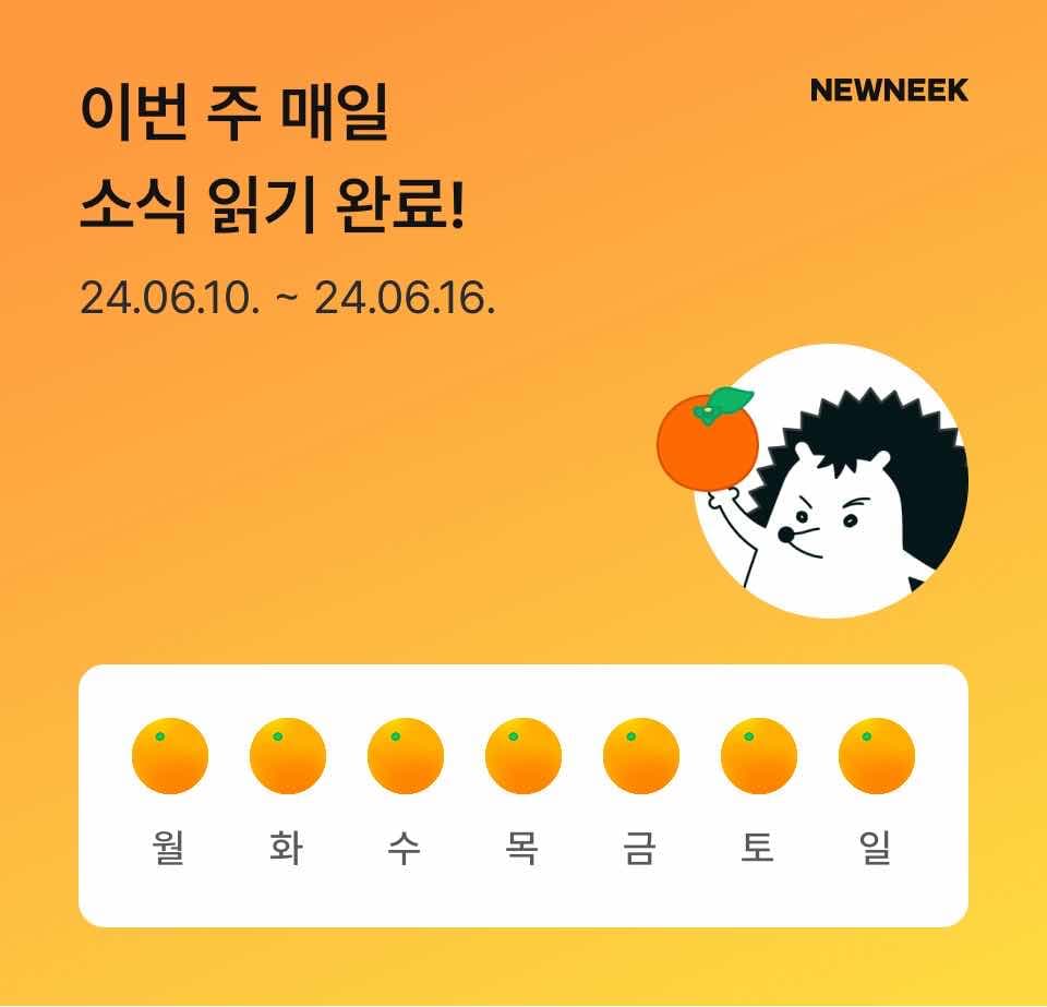 포스트 썸네일 5981